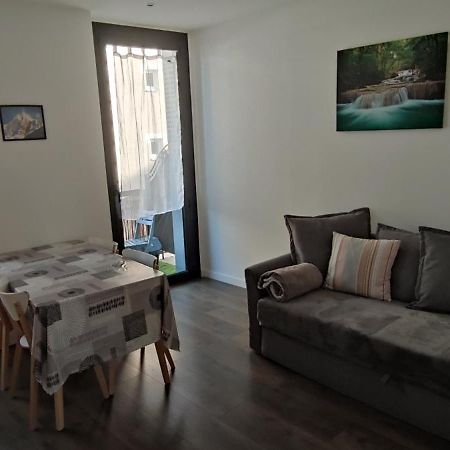 Logement Tout Confort Au Coeur De La Haute-Savoie - Le Barycentre La Roche-sur-Foron Exterior photo